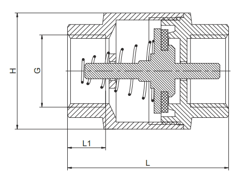 Non-return valve — swing / dual-plate, cross-section