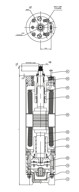 V5 5-inch borewell submersible pump set — schematic cross-section